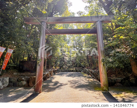與鳥居的風景 與鳥居的風景 141846774