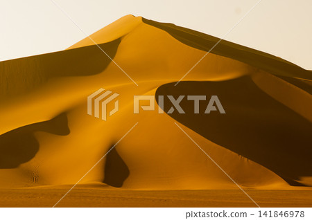 Desert Sand Dunes with Dramatic Shadows at Golden Hour Desert Sand Dunes with Dramatic Shadows at Golden Hour 141846978