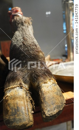 Raw animal trotters hanging on display at a butcher shop in a local market, meat production business trade concept Raw animal trotters hanging on display at a butcher shop in a local market, meat production business trade concept 141847759