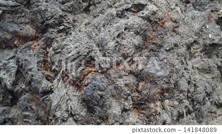 Full frame macro shot of dark charred rough tree bark texture with complex organic patterns and cracks, texture concept 141848089