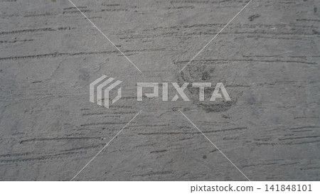 Minimalist background texture of a plain grey concrete wall panel with horizontal textured brush strokes, minimalist concept Minimalist background texture of a plain grey concrete wall panel with horizontal textured brush strokes, minimalist concept 141848101