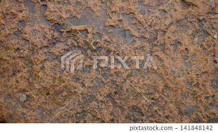 Brown weathered stone surface texture, perfect for background design and architectural photography , geology concept Brown weathered stone surface texture, perfect for background design and architectural photography , geology concept 141848142