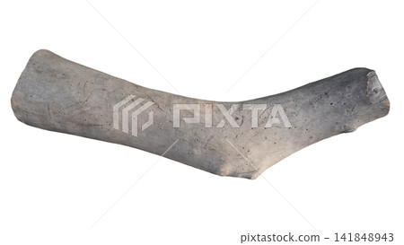Natural textured weathered driftwood branch piece isolated on pure white background, nature concept Natural textured weathered driftwood branch piece isolated on pure white background, nature concept 141848943