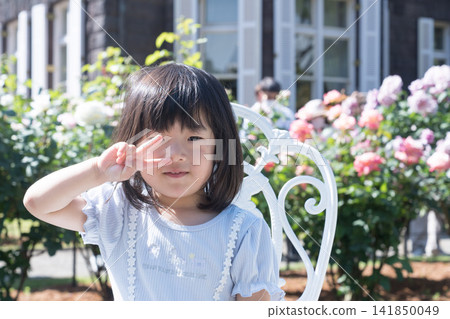 A young Japanese girl sitting on a white iron chair in a rose garden. A young Japanese girl sitting on a white iron chair in a rose garden. 141850049