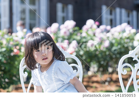 A young Japanese girl sitting on a white iron chair in a rose garden. A young Japanese girl sitting on a white iron chair in a rose garden. 141850053