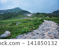 The path leading to the mountaintop 141850132