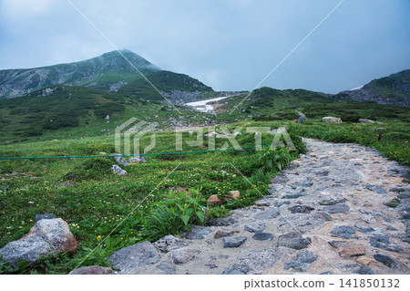 通往山頂的小路 通往山頂的小路 141850132