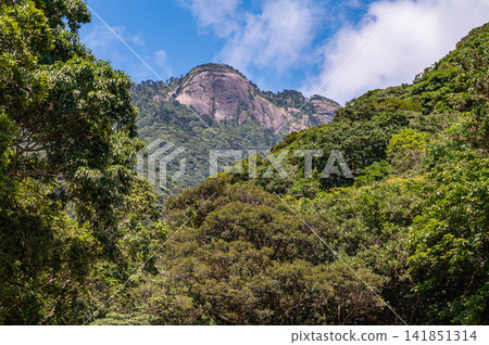 屋久島世界自然遺產:花崗岩山(夏季) 屋久島世界自然遺產:花崗岩山(夏季) 141851314