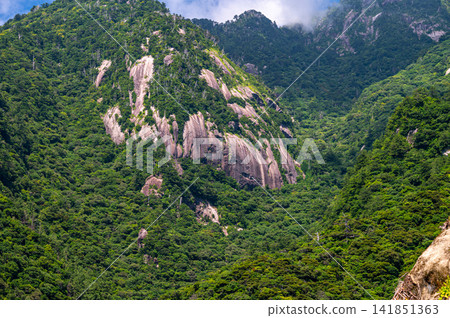 Yakushima World Natural Heritage Site: Granite mountain slopes (summer) Yakushima World Natural Heritage Site: Granite mountain slopes (summer) 141851363
