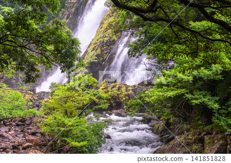 Yakushima, the island where gods reside; Okawa Falls; one of Japan's Top 100 Waterfalls (Summer) Yakushima, the island where gods reside; Okawa Falls; one of Japan's Top 100 Waterfalls (Summer) 141851828