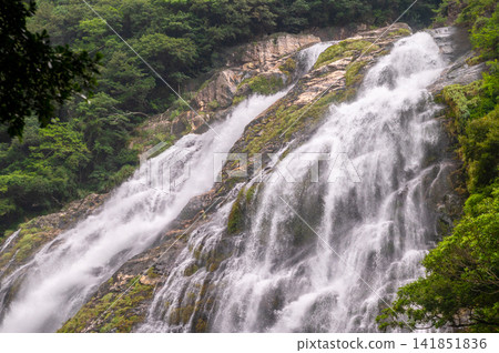 Yakushima, the island where gods reside; Okawa Falls; one of Japan's Top 100 Waterfalls (Summer) Yakushima, the island where gods reside; Okawa Falls; one of Japan's Top 100 Waterfalls (Summer) 141851836