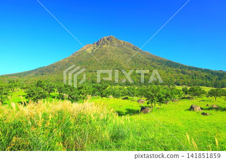 秋天的由布山(由布市由布院町) 秋天的由布山(由布市由布院町) 141851859