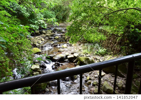 Yugawara Town, Manyo Park Yugawara Soyu: The Chitose River and fresh greenery where you can fish for cherry salmon. Yugawara Town, Manyo Park Yugawara Soyu: The Chitose River and fresh greenery where you can fish for cherry salmon. 141852047