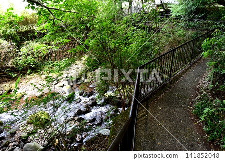 湯河原町,萬葉公園 湯河原草湯:千歲川和綠意盎然的景色,可以釣櫻鮭。 湯河原町,萬葉公園 湯河原草湯:千歲川和綠意盎然的景色,可以釣櫻鮭。 141852048