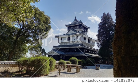 Iwakuni Castle: The main keep as seen from the main enclosure. Iwakuni Castle: The main keep as seen from the main enclosure. 141852072
