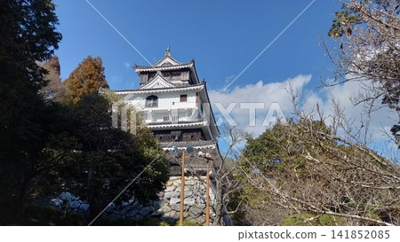Iwakuni Castle: The main keep as seen from the second bailey. Iwakuni Castle: The main keep as seen from the second bailey. 141852085