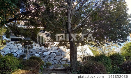 Iwakuni Castle: Stone walls from the second bailey Iwakuni Castle: Stone walls from the second bailey 141852086