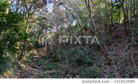 Iwakuni Castle - Remains of the dry moat Iwakuni Castle - Remains of the dry moat 141852090