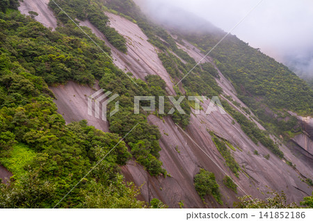 屋久島,眾神居住的島嶼:花崗岩山坡(夏季) 屋久島,眾神居住的島嶼:花崗岩山坡(夏季) 141852186