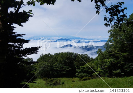 A vast sea of clouds over Mitsutoge Pass from Mount Kariganeharazuri A vast sea of clouds over Mitsutoge Pass from Mount Kariganeharazuri 141853301