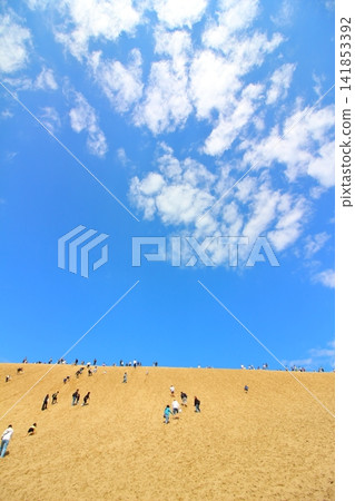 A clear, bright blue sky and a landscape of sand dunes. A clear, bright blue sky and a landscape of sand dunes. 141853392