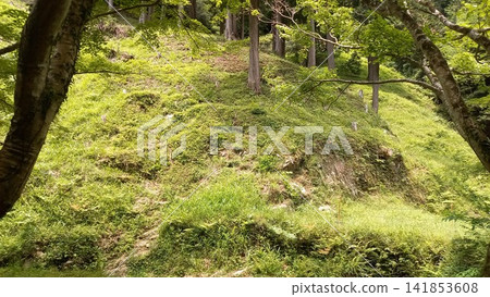 Ono Castle Hyakumon Stone Wall Ono Castle Hyakumon Stone Wall 141853608