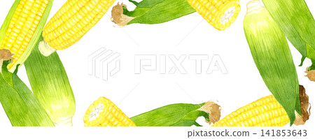 Corn frame, hand-drawn watercolor illustration background of summer vegetables Corn frame, hand-drawn watercolor illustration background of summer vegetables 141853643