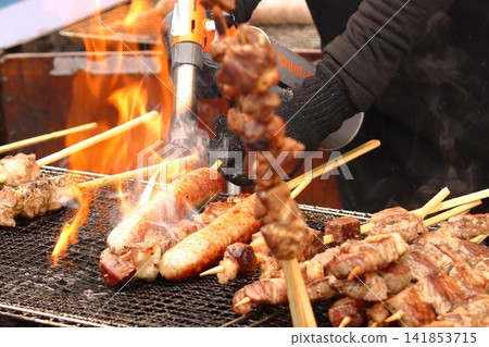 燒烤架上的烤雞肉串 燒烤架上的烤雞肉串 141853715