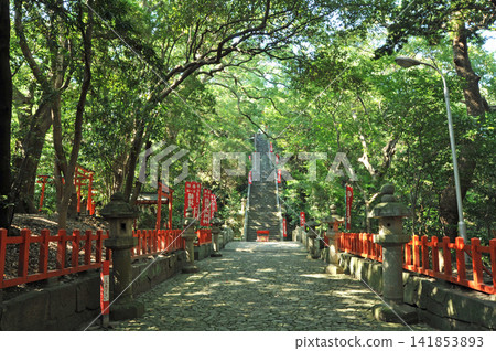 The approach to Kishu Toshogu Shrine The approach to Kishu Toshogu Shrine 141853893