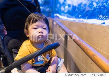 A Japanese baby boy in a stroller looking at the fish tanks at an aquarium. A Japanese baby boy in a stroller looking at the fish tanks at an aquarium. 141854003