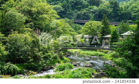 位於鹽原溫泉鄉（那須鹽原市）的山百合吊橋，周圍環繞著鬱鬱蔥蔥的綠植和清澈的溪流。 141854336