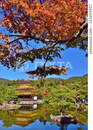 Kyoto, Kinkakuji in autumn Kyoto, Kinkakuji in autumn 141854957