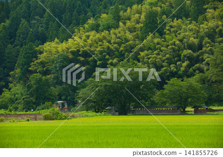 Local line running in green Local line running in green 141855726