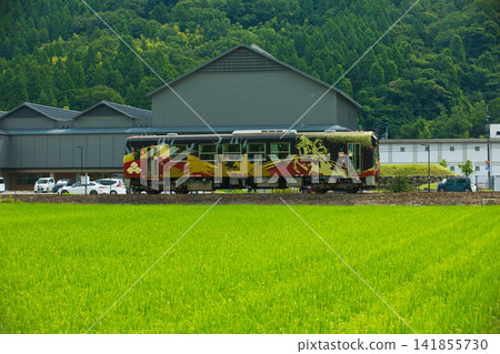 Local line running in green Local line running in green 141855730