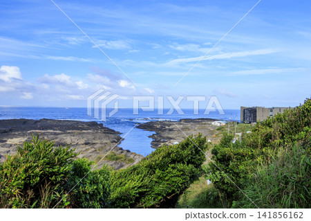 Jogashima Island in midsummer 141856162