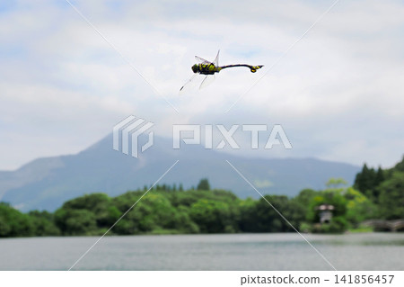 A dragonfly (Anax parthenope) soaring with Mount Ibuki in the background. 141856457