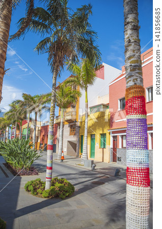 Beautiful Canarian street in Puerto de la Cruz Tenerife with knitted palm trees and copy space Beautiful Canarian street in Puerto de la Cruz Tenerife with knitted palm trees and copy space 141856685