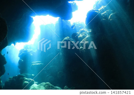Nitta Cave, a flower of light rays: Underwater photography Nitta Cave, a flower of light rays: Underwater photography 141857421