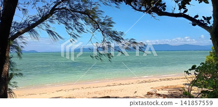 鮮綠色海和白色沙子海灘 鮮綠色海和白色沙子海灘 141857559