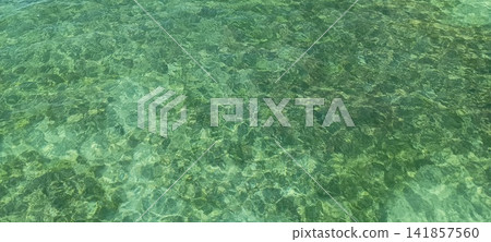 透明的大海 透明的大海 141857560