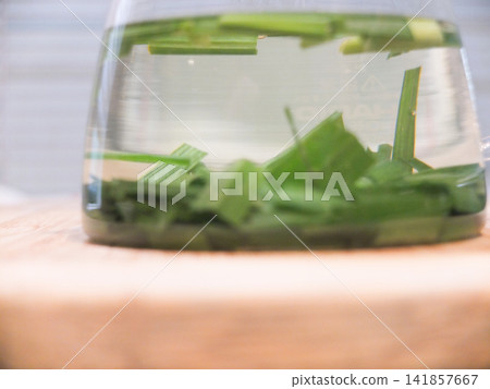 從花園剪下檸檬草 從花園剪下檸檬草 141857667