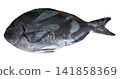 Medina 141858369