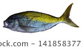 Umeiro 141858377