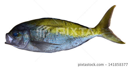 Umeiro Umeiro 141858377