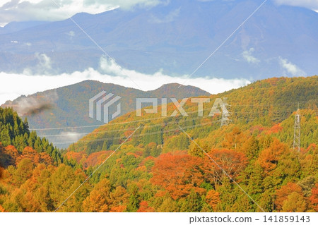松川溪谷(秋季) 高山村 松川溪谷(秋季) 高山村 141859143