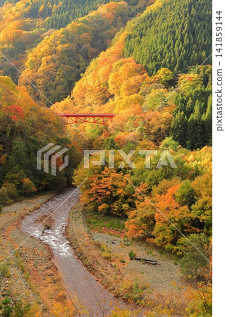 松川溪谷（秋季） 高山村 141859144