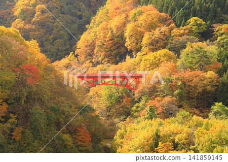 松川溪谷(秋季) 高山村 松川溪谷(秋季) 高山村 141859145