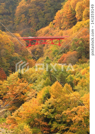 松川溪谷（秋季） 高山村 141859149