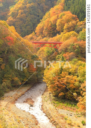 松川溪谷(秋季) 高山村 松川溪谷(秋季) 高山村 141859161