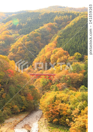 松川溪谷(秋季) 高山村 松川溪谷(秋季) 高山村 141859163